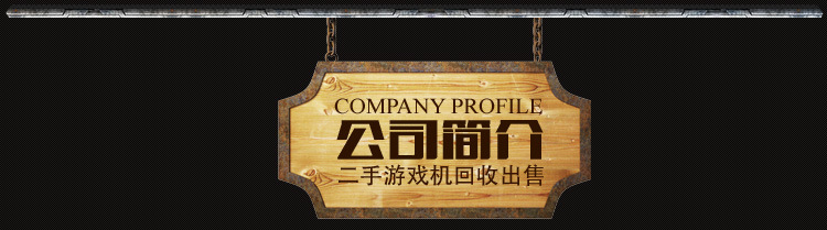 \"3公司简介\"
